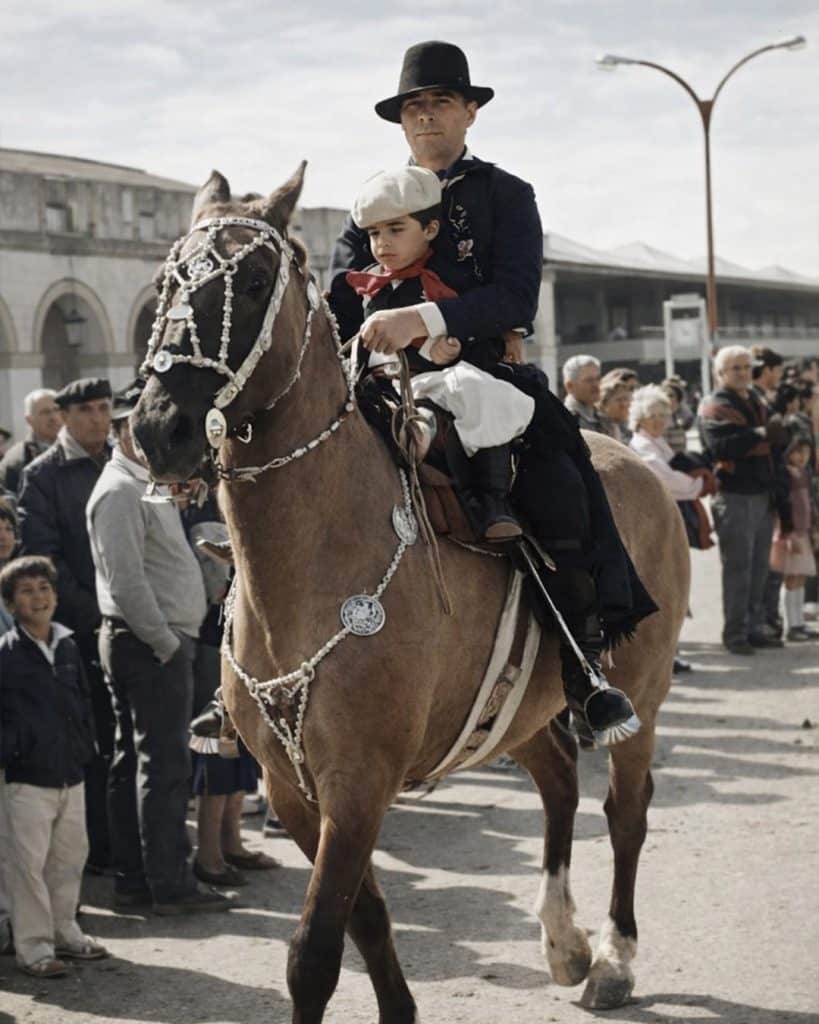 caballos